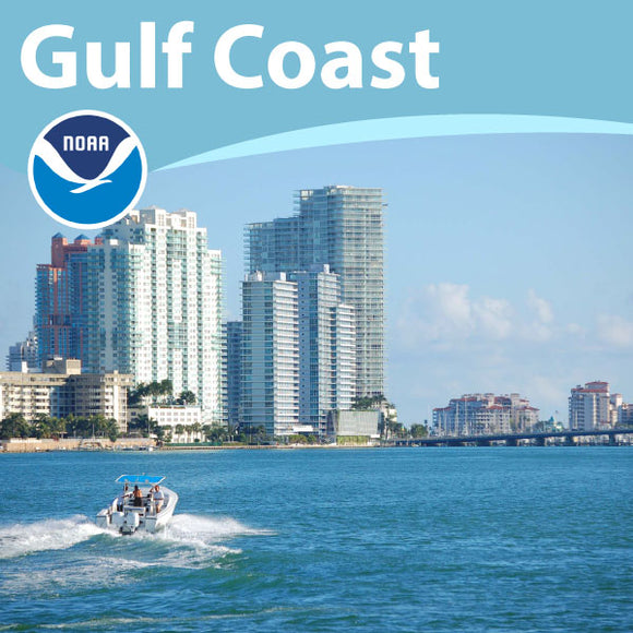 NOAA Charts for the Gulf Coast & Caribbean (GC1): Rio Grande to Freeport