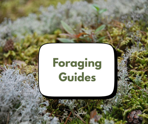 Foraging Guides