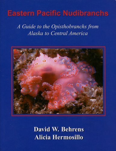 Eastern Pacific Nudibranchs