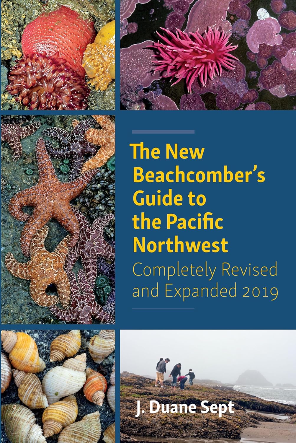 The New Beachcomber's Guide to the Pacific Northwest