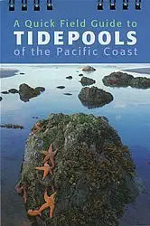 A Quck Field Guide to Tidepools of the Pacific Coast