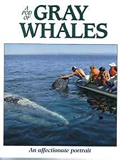 A Pod of Gray Whales : An Affectionate Portrait