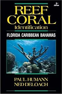 Reef Coral Identification: Florida, Caribbean, Bahamas 3rd Edition (Reef Set (New World))
