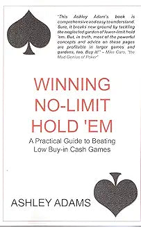 Winning No-Limit Hold 'Em