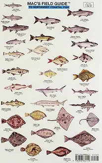 Mac's Field Guide to Northwest Coastal Fish (Mac's Field Guides)