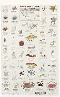 California Coastal Invertebrates (Mac's Guides)