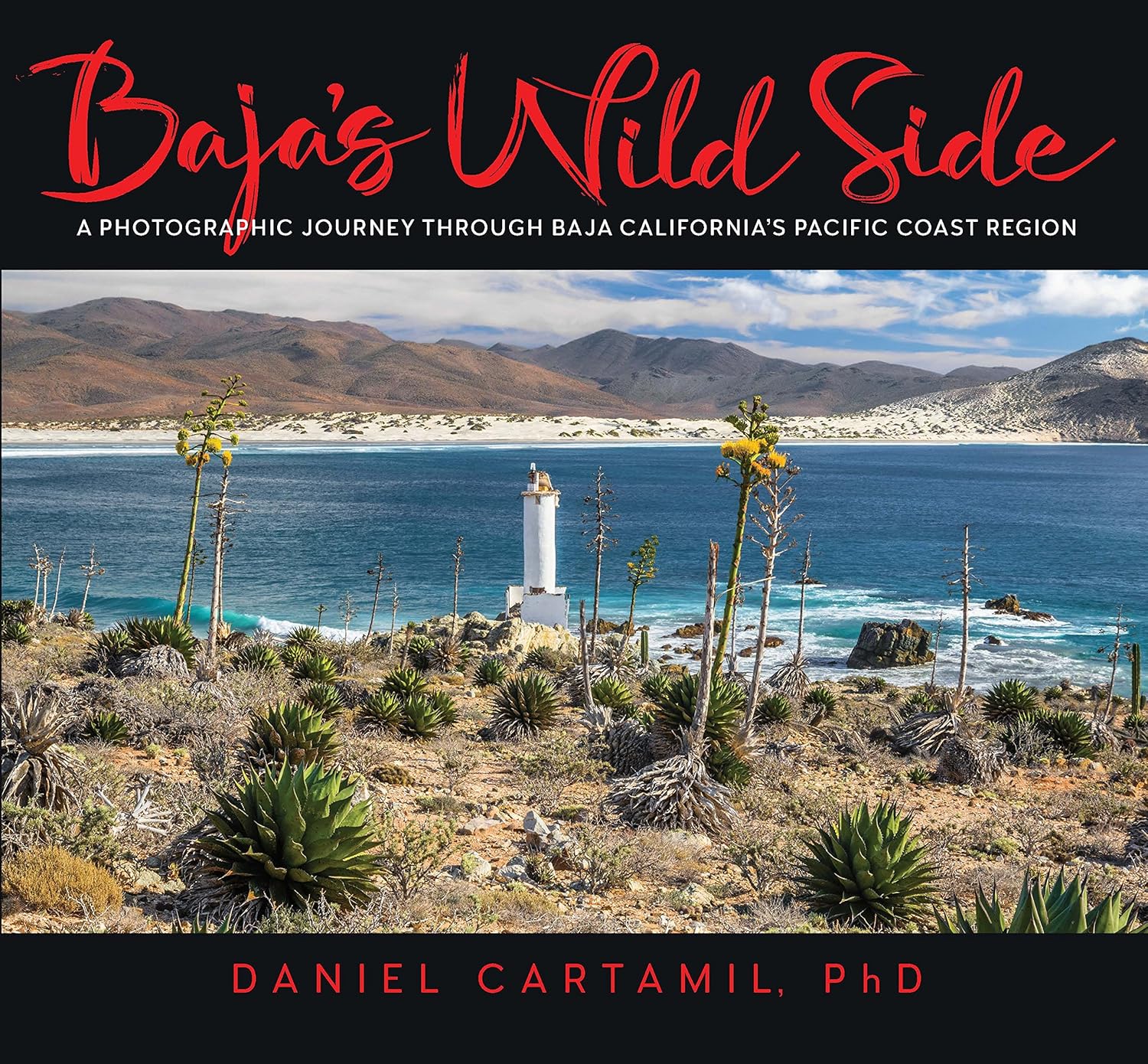 Book cover of 'Baja's Wild Side' with a scenic view of Baja California's Pacific Coast.