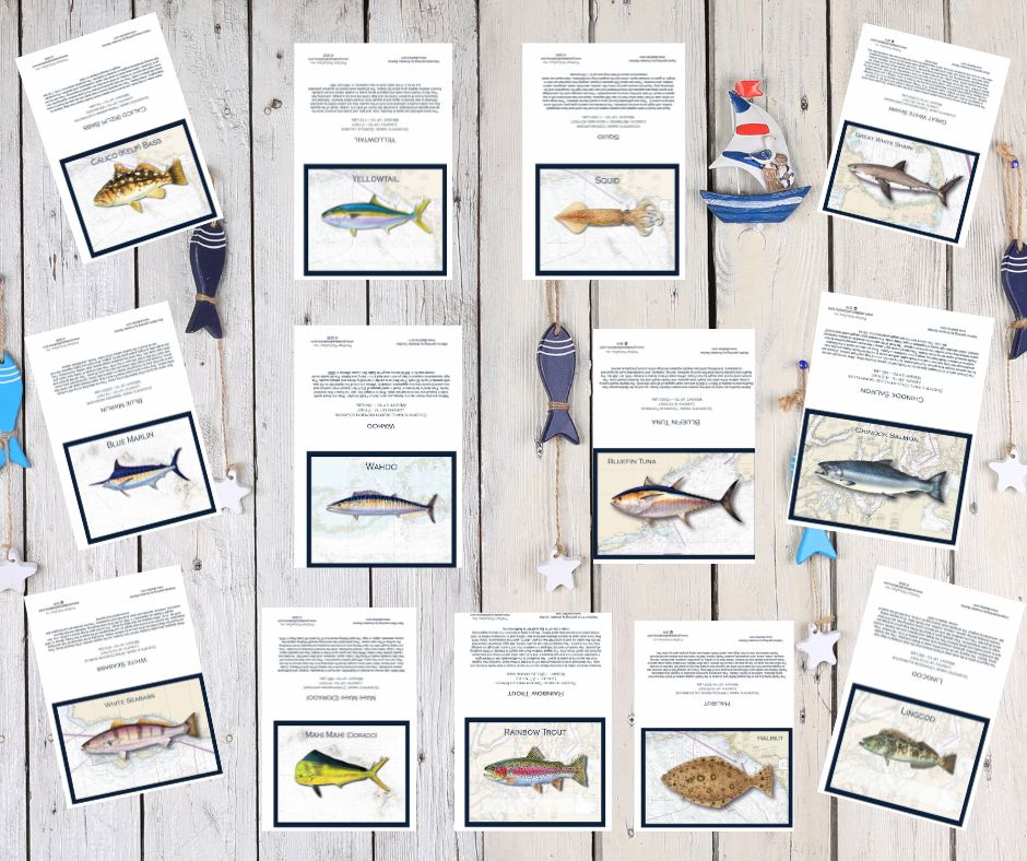 Fish Greeting Cards- PACK OF 10