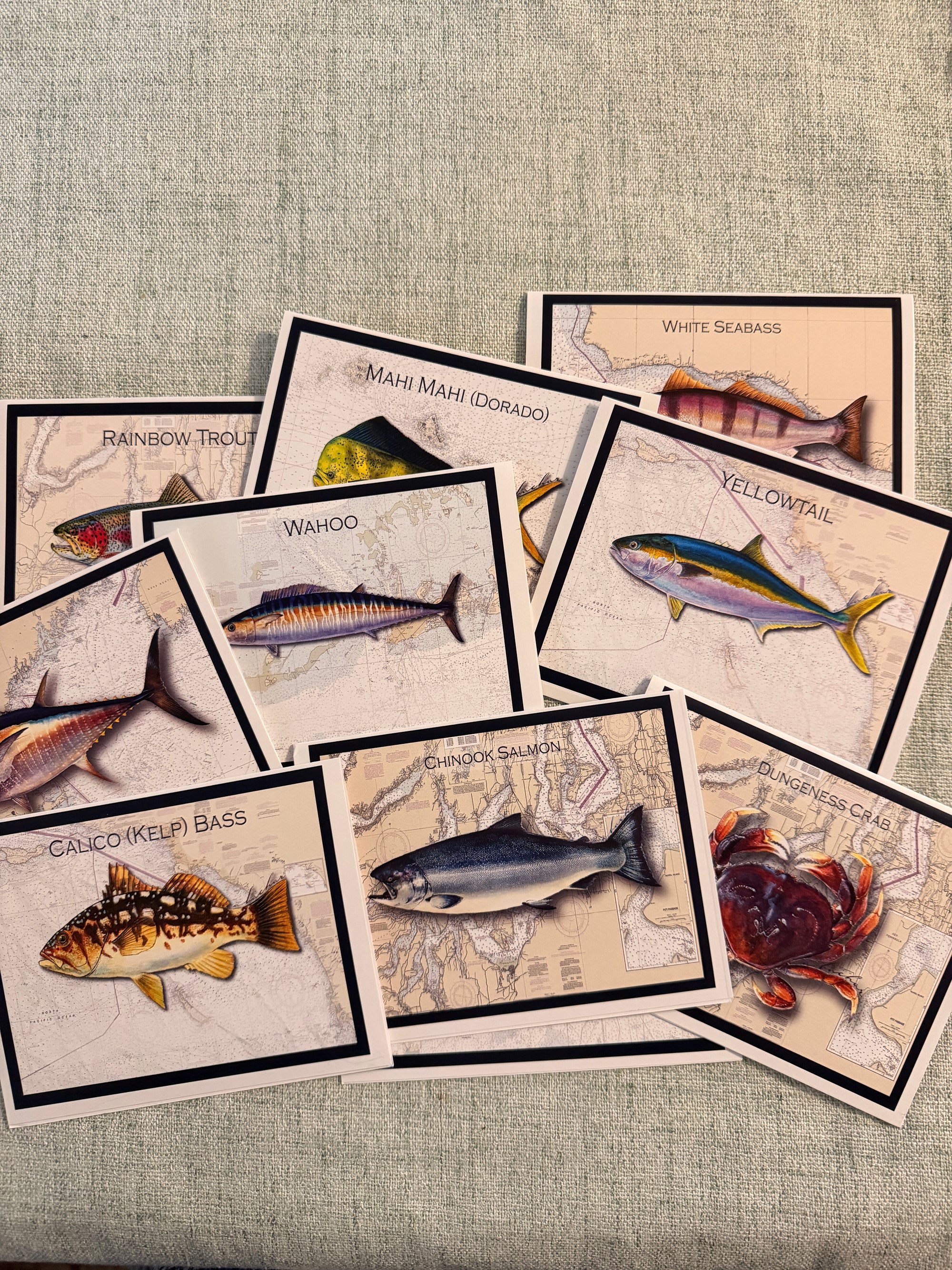 Hand-Illustrated Marine Life Note Card Collection (Set of 10)