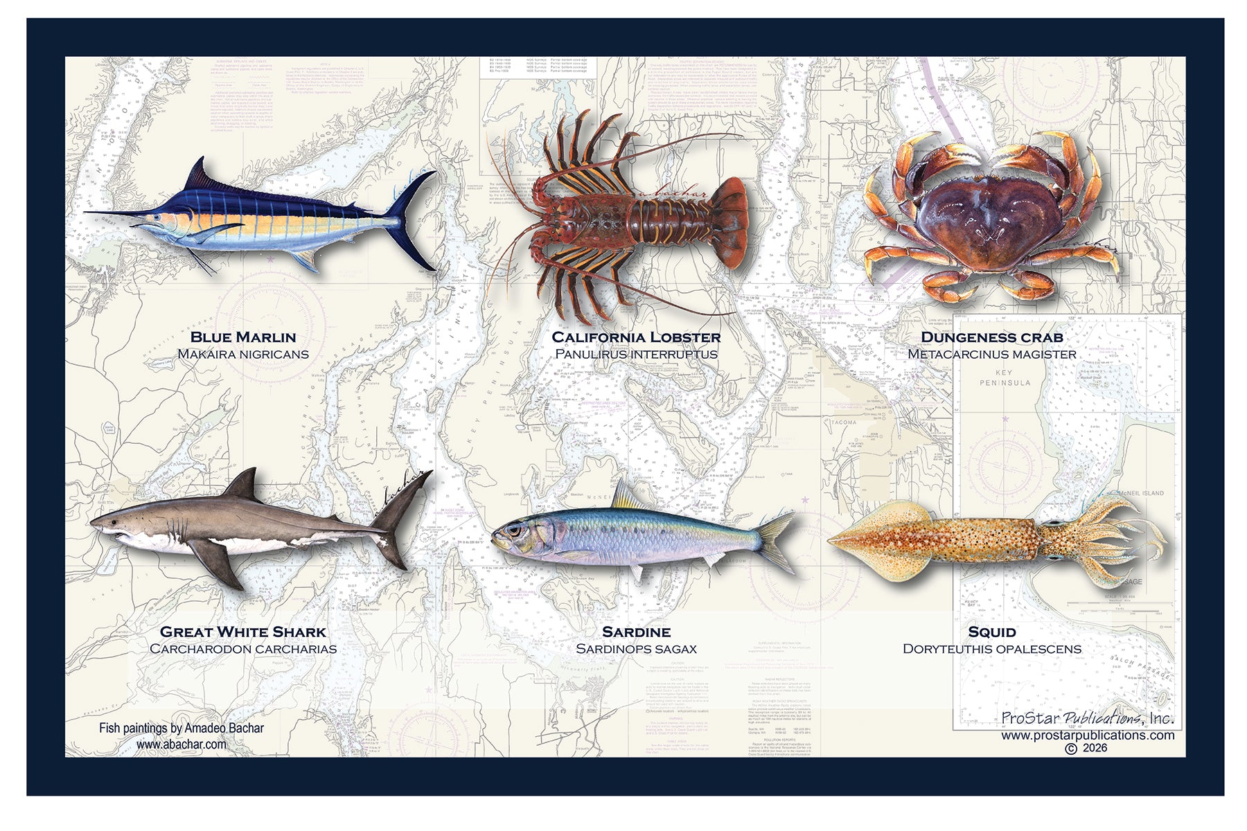 Fish Placemat for Kids