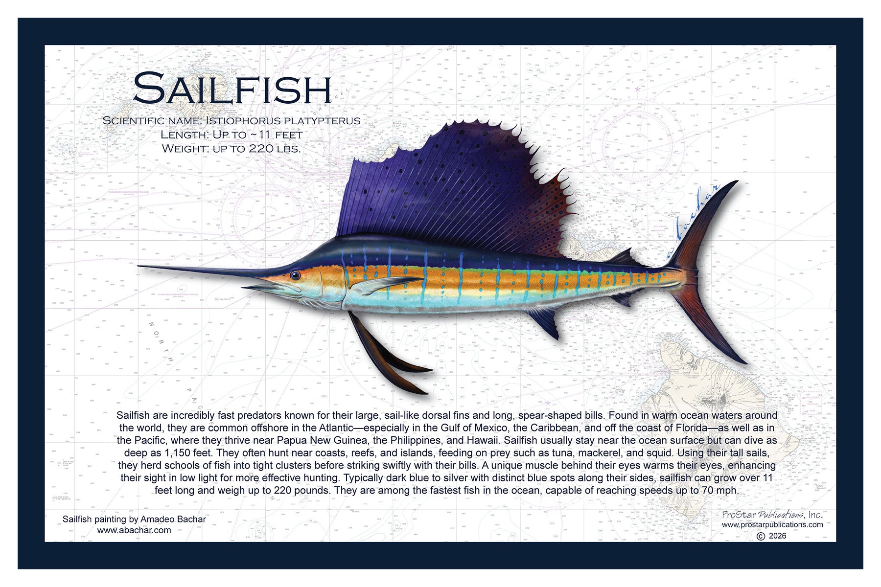 Fish Placemat: Sailfish