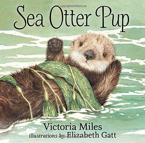 Sea Otter Pup - Board Book