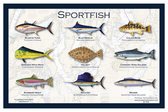 Fish Placemat: Sportfish