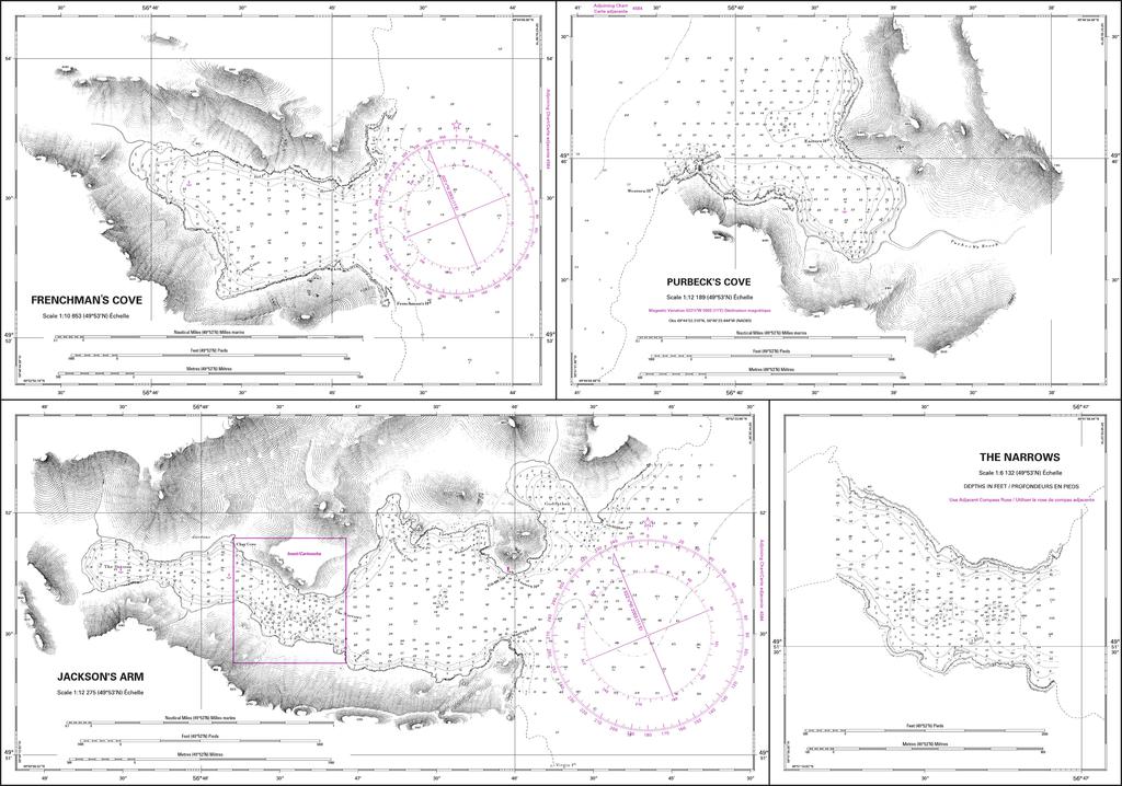 CHS Chart 4540: Anchorages in White Bay / Mouillages dans White Bay