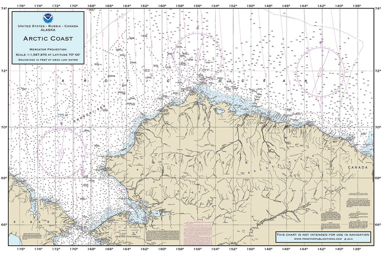 Nautical Placemat: Arctic Coast