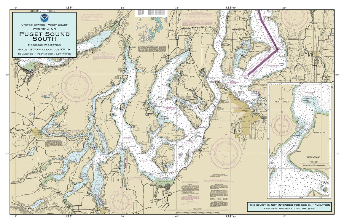 Nautical Placemat: Puget Sound South (WA)