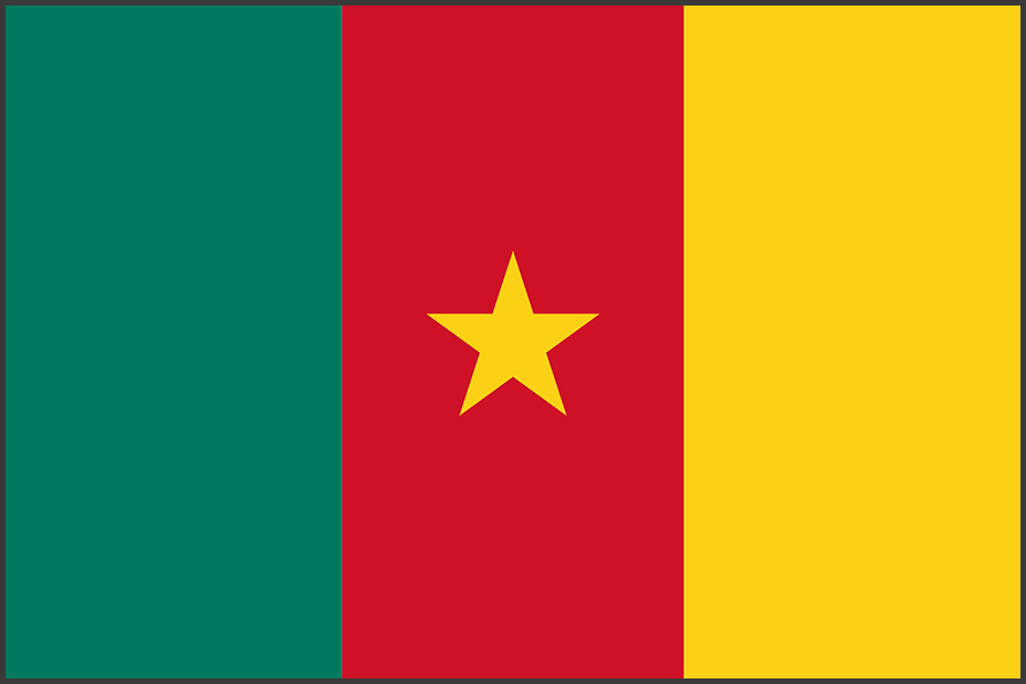 Flag of Cameroon