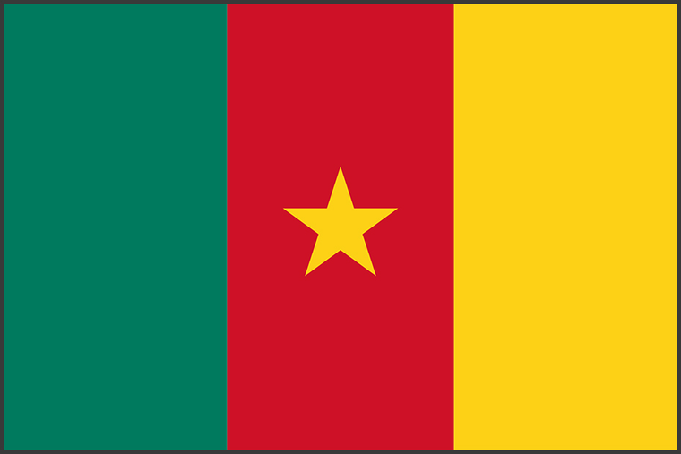 Flag of Cameroon