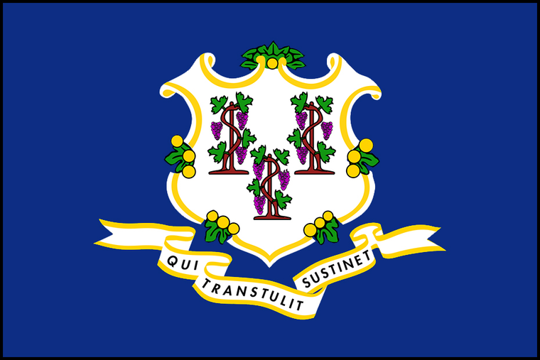 Connecticut State Flag