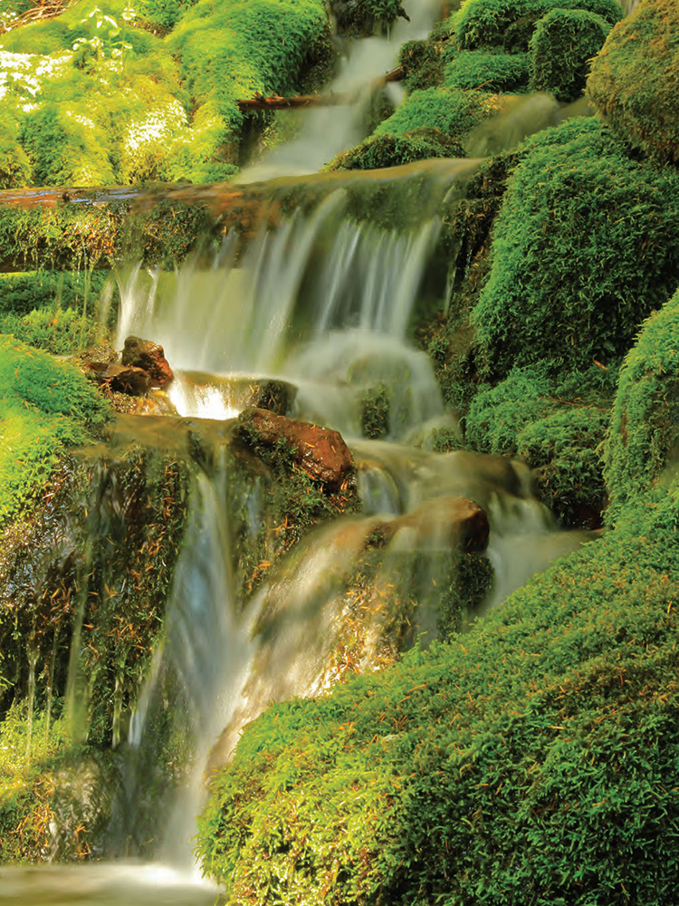 Hiking Wonderland Trail