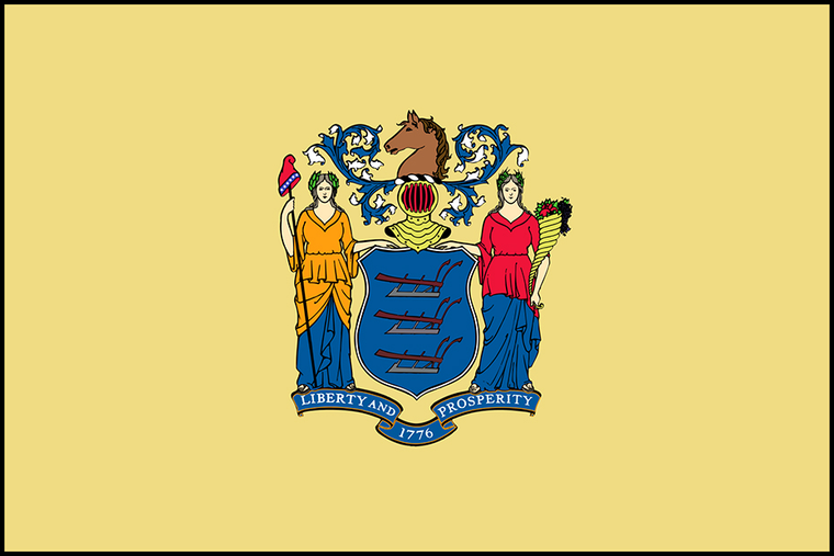 New Jersey State Flag