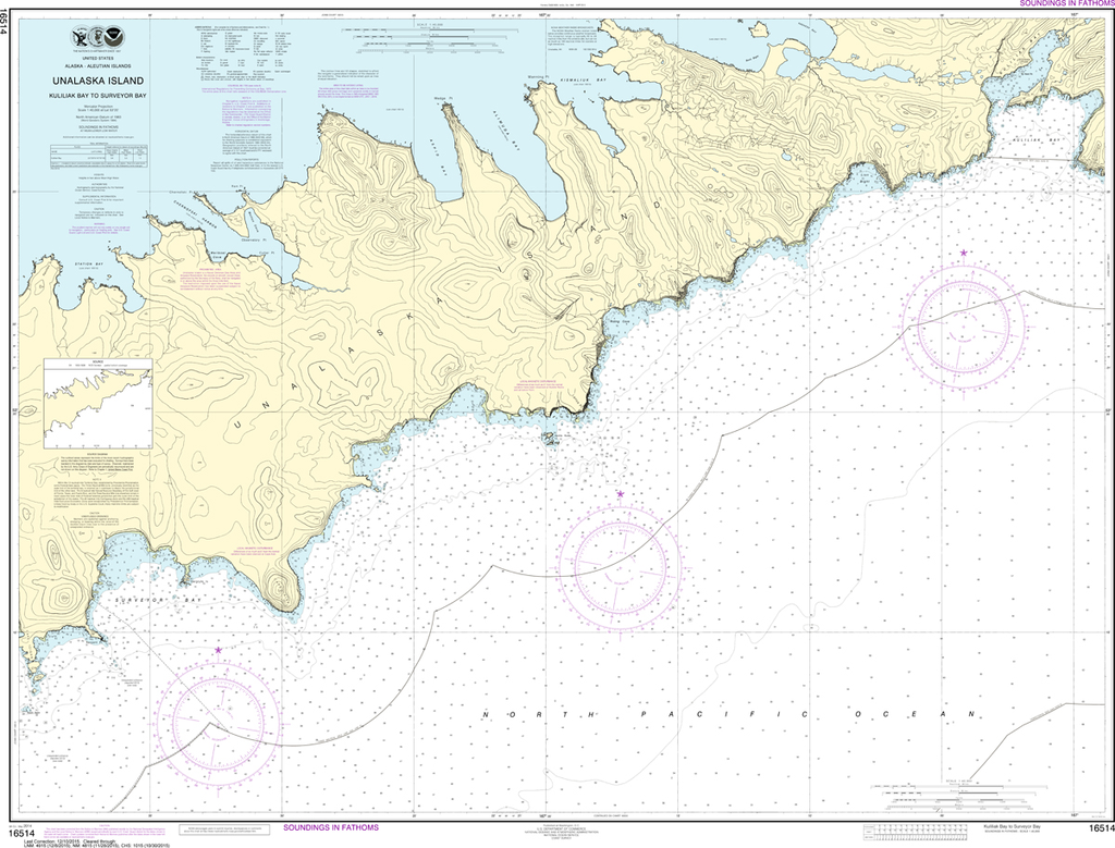 NOAA Chart 16514: Kulikak Bay and Surveyor Bay