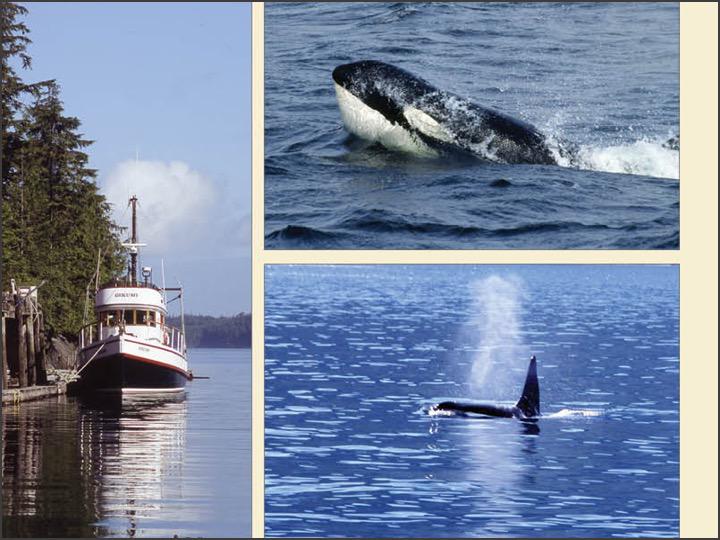 Cruising the Inside Passage to Alaska