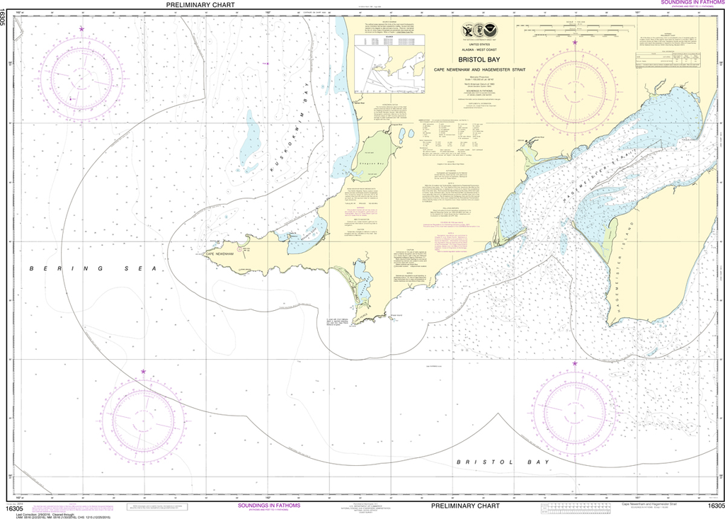 NOAA Chart 16305: Bristol Bay - Cape Newenham and Hagemeister Strait