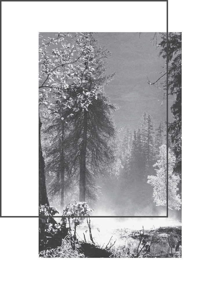 55 Ways to the Wilderness in South Central Alaska