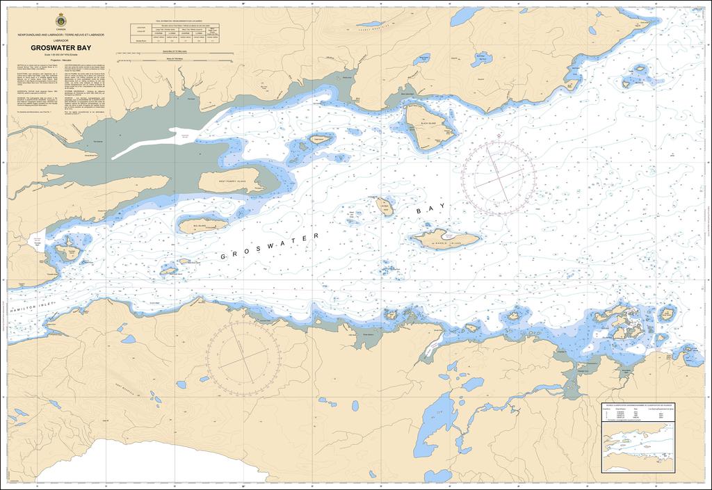 CHS Chart 5162: Groswater Bay