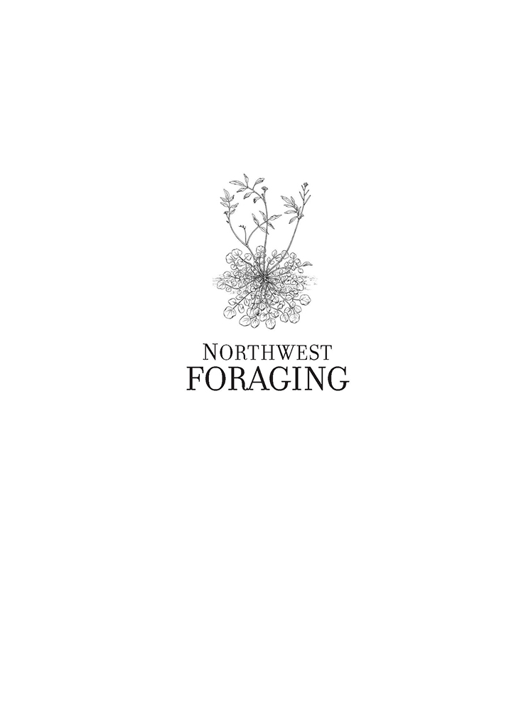 Northwest Foraging
