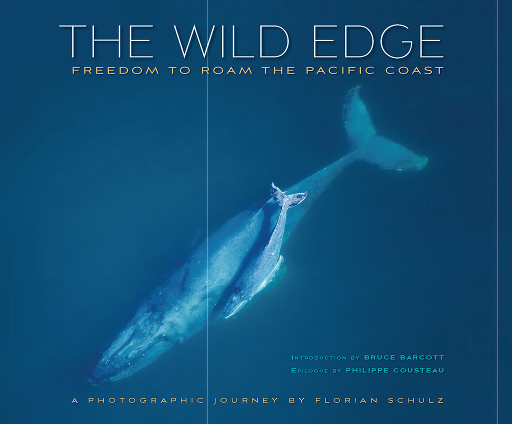 Wild Edge