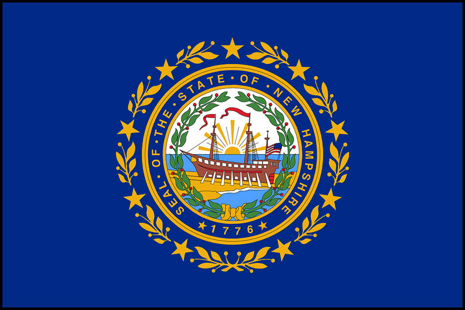 New Hampshire State Flag