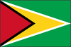 Flag of Guyana