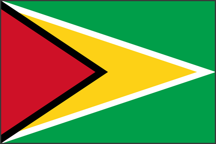 Flag of Guyana