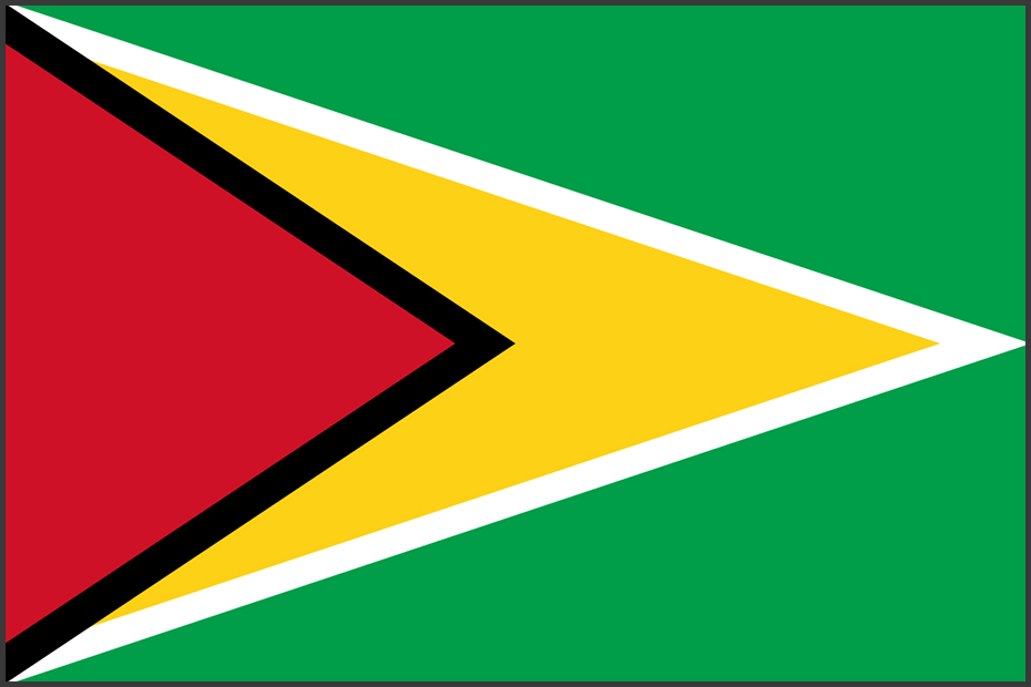 Flag of Guyana