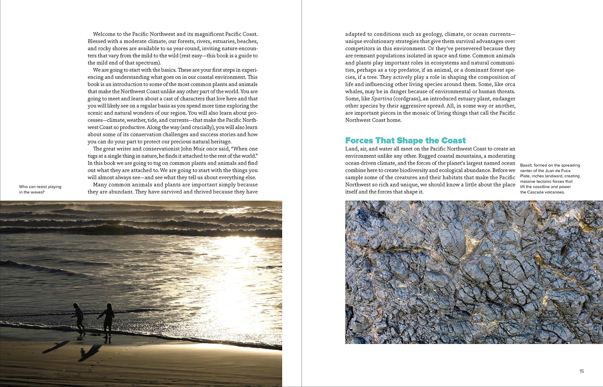 The Northwest Coastal Explorer