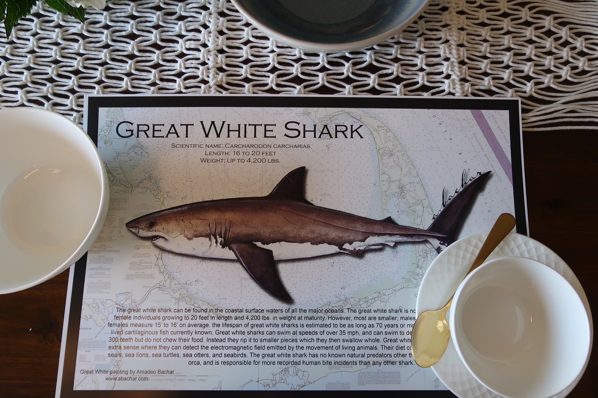 Fish Placemat: Great White Shark