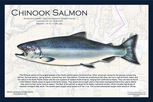 Fish Placemat: Salmon