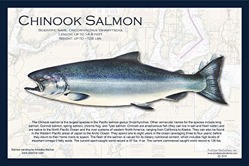 Fish Placemat: Salmon