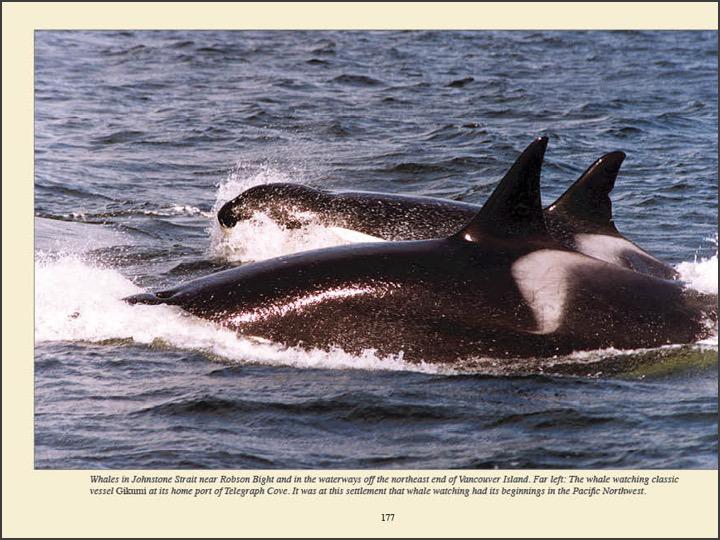 Broughton Islands Cruising Guide