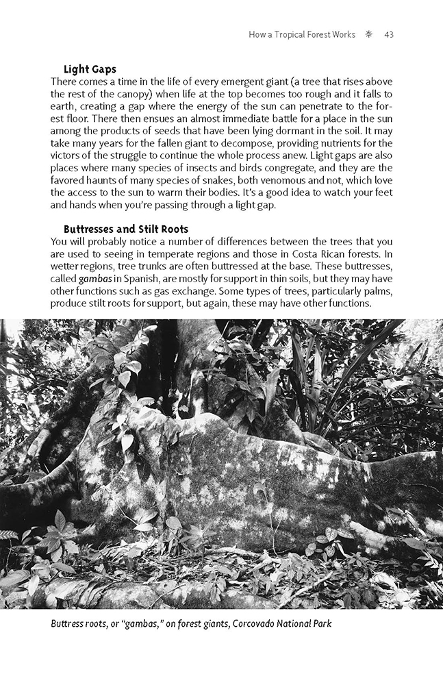 Costa Rica's National Park