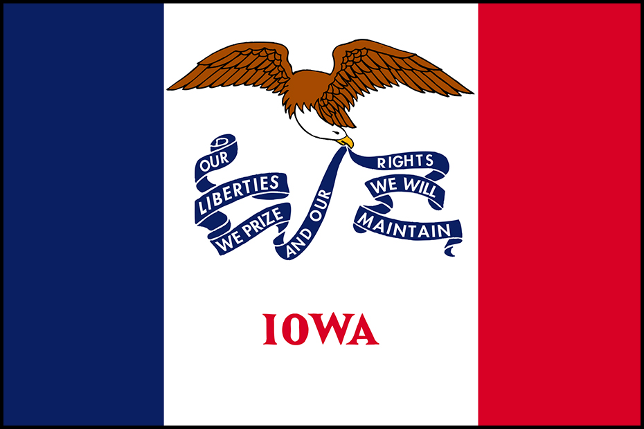 Iowa State Flag