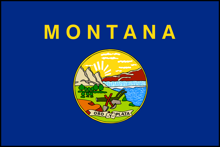 Montana State Flag