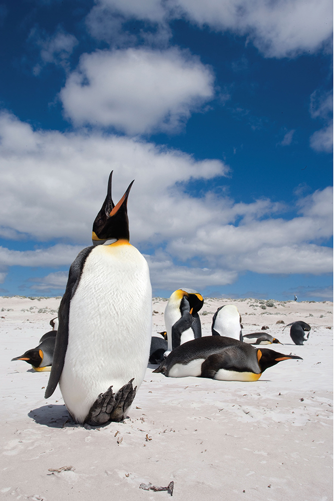 Photography Outdoors