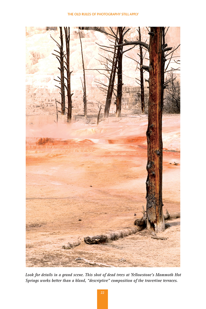 Photography Outdoors